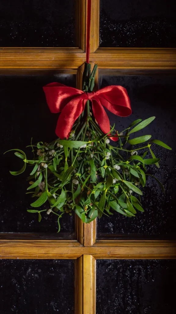 A sprig of mistletoe that you can put above your alter/ceremony area.