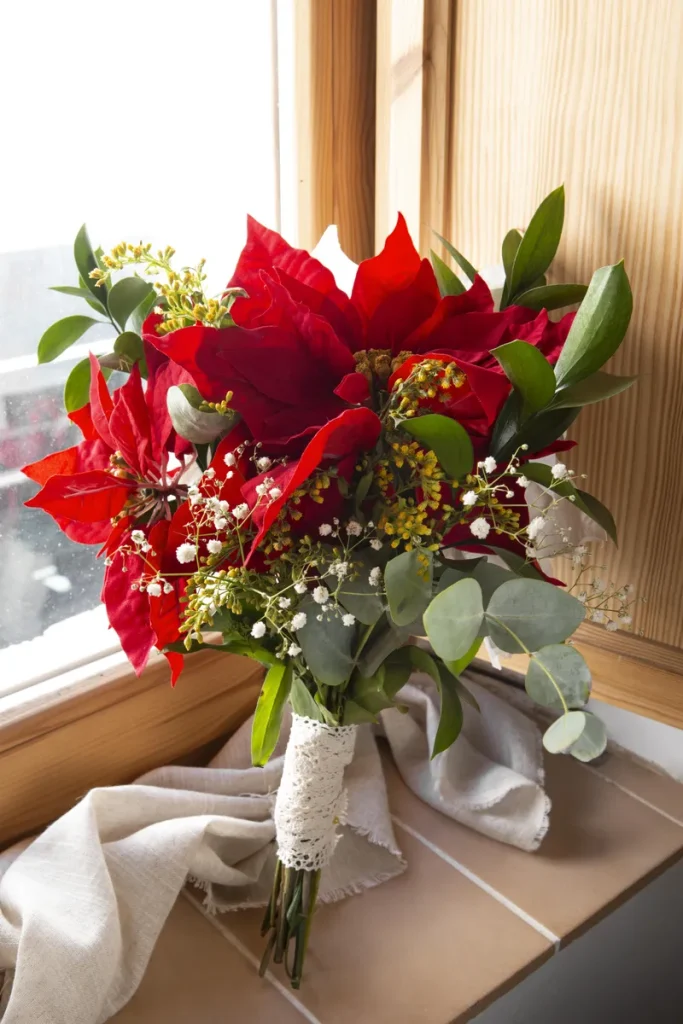 A beautiful poinsettia bouquet with some babies breath.