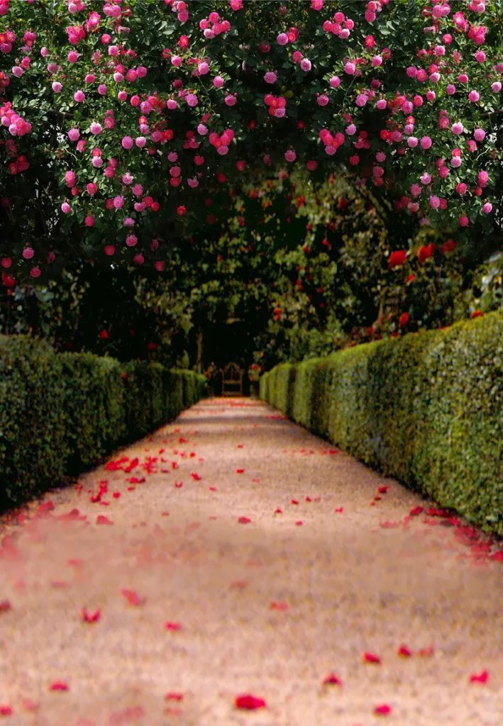 A garden pathway lined with flower petals from flowers above.