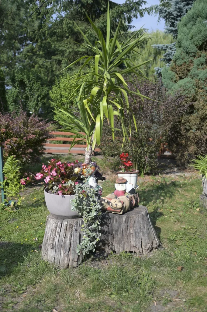 A lovely backyard garden.
