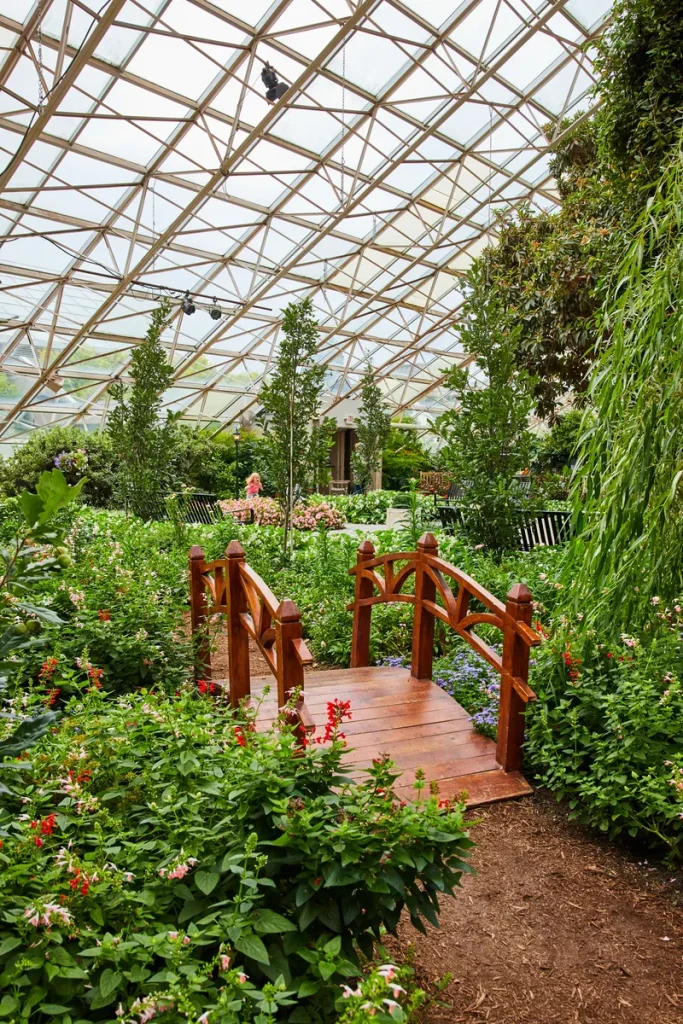 A beautiful garden to give you an example of what a botanical garden wedding could be.