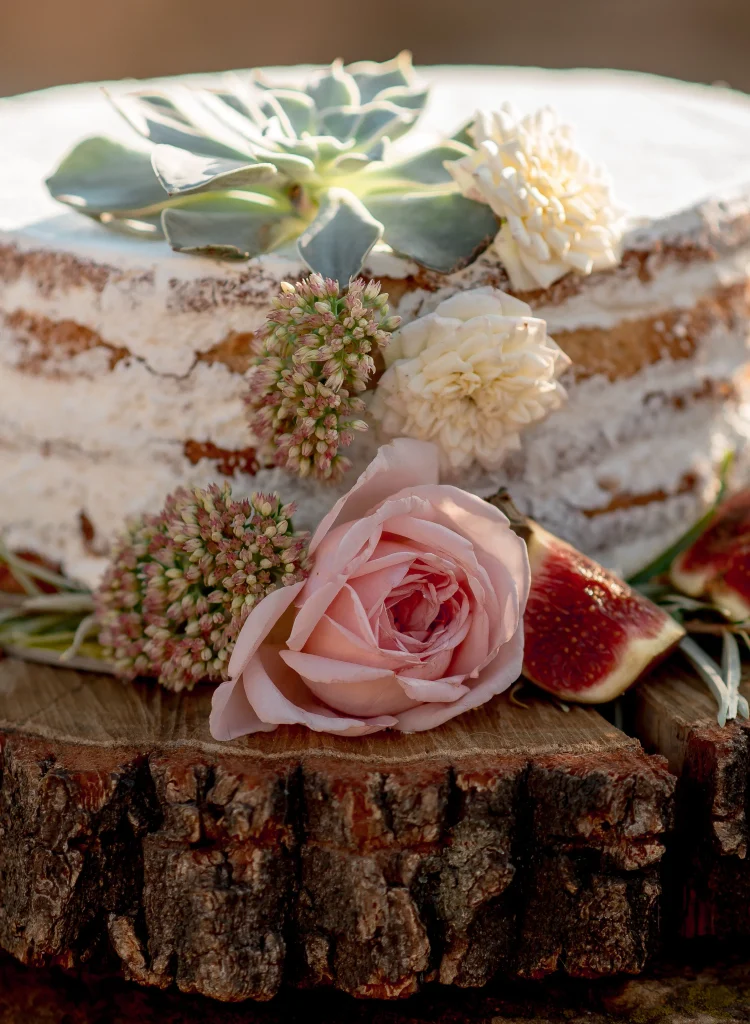 A single layer bohemian wedding cake featuring a succulent as one of it's primary decorations.