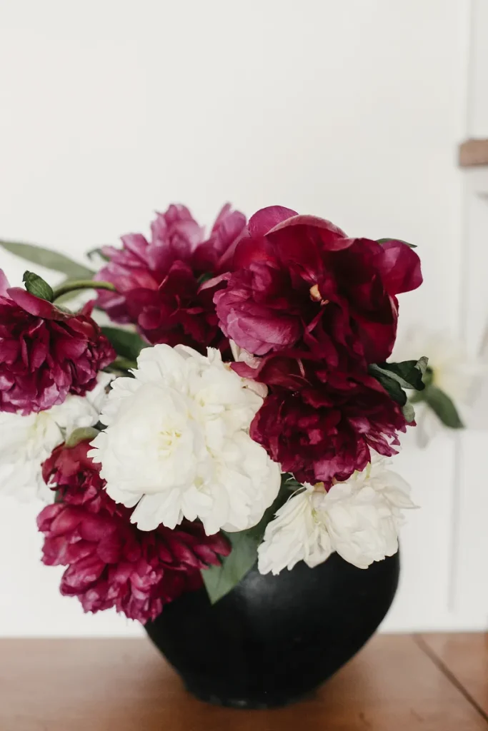 Some burgundy dahlias you could use for your fall wedding flowers.