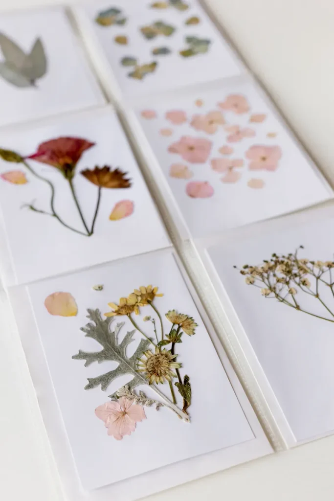 A look at some pressed botanicals you can use in your stationary for your forest wedding table decor.